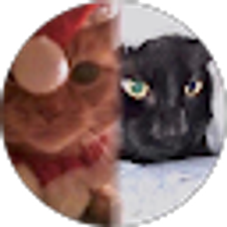 Profile photo of Melissa