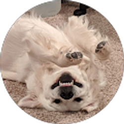 Profile photo of rudy mendoza