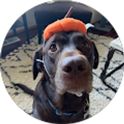 Profile photo of angela