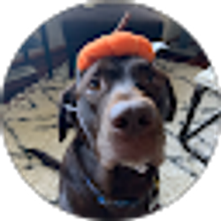 Profile photo of angela