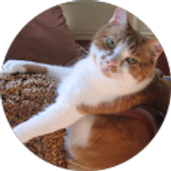 Profile photo of rick sims