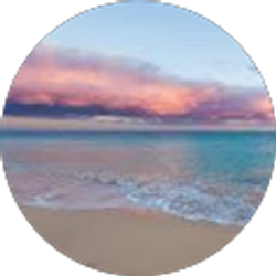 Profile photo of Alabama Home Care Specialists