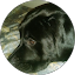 Profile photo of John James