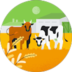 Profile photo of Amber W