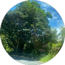 Profile photo of Tierra Allen