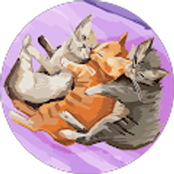 Profile photo of Stephany Correa