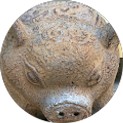 Profile photo of Stacie Kraly