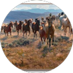 Profile photo of Scott Eveleigh