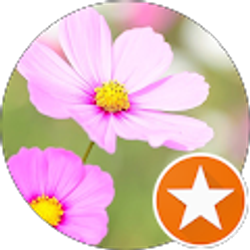 Profile photo of Rachel Zeph