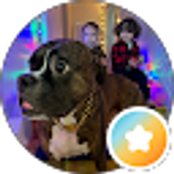 Profile photo of Calix Rodriguez
