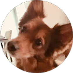 Profile photo of Robin Case