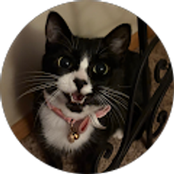 Profile photo of sofia