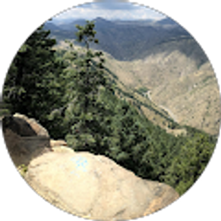 Profile photo of V Hill