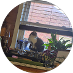 Profile photo of Bertha Ramirez