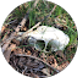 Profile photo of Mark Graff