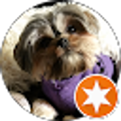 Profile photo of Joann Secor