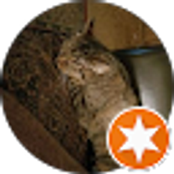 Profile photo of john beck