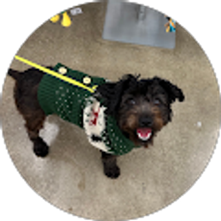 Profile photo of Susan Farina