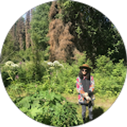 Profile photo of Kaily McKee