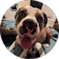 Profile photo of Morgan Ashley