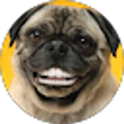 Profile photo of Lynn C
