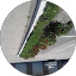 Profile photo of Greenscape Solution