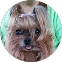 Profile photo of Janice Repscher