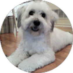 Profile photo of Bipin B