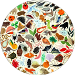 Profile photo of Harper Studio