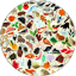 Profile photo of Harper Studio