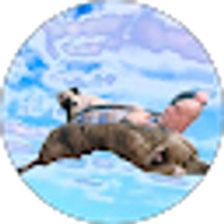 Profile photo of Timothy H