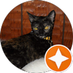 Profile photo of barbara corker