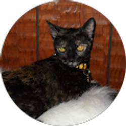 Profile photo of barbara corker