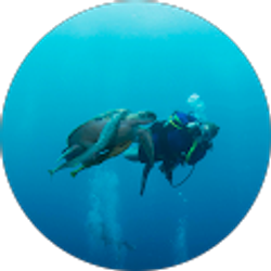 Profile photo of Texas Scuba Girl