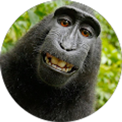 Profile photo of Shane Clarkson