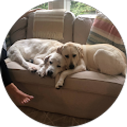 Profile photo of Beth Anne Smith