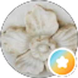 Profile photo of Shirley Kay Smith