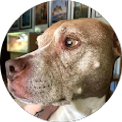 Profile photo of Life With All Of Us