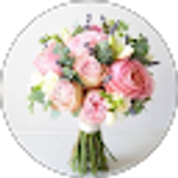 Profile photo of Rose At Shirley
