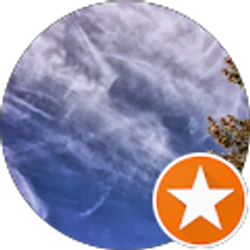 Profile photo of Sharlene Clinton