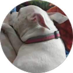 Profile photo of Stephanie Argenbright