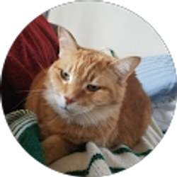 Profile photo of Ilias Gkoros