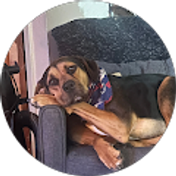 Profile photo of John Vallone