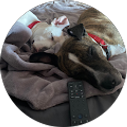 Profile photo of E E