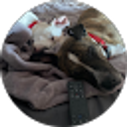 Profile photo of E E