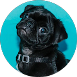 Profile photo of Gina Floyd