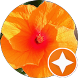 Profile photo of Alyssa Dzialo