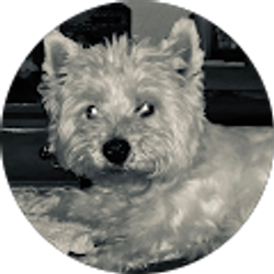 Profile photo of Liz Black