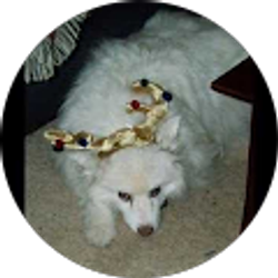 Profile photo of Deborah Riley