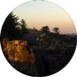 Profile photo of Patti Schnipke